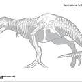 Tiranosaurio