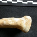 Ua-Raprox4.jpg