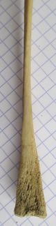 Ulna G dist2