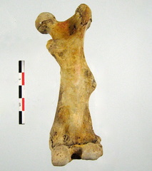 Tibia Fibula lateral 01