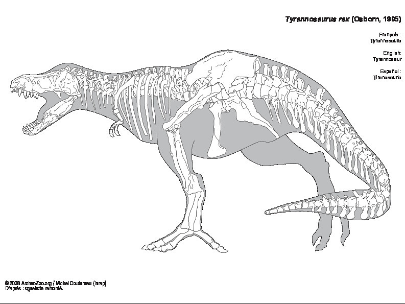 Tiranosaurio