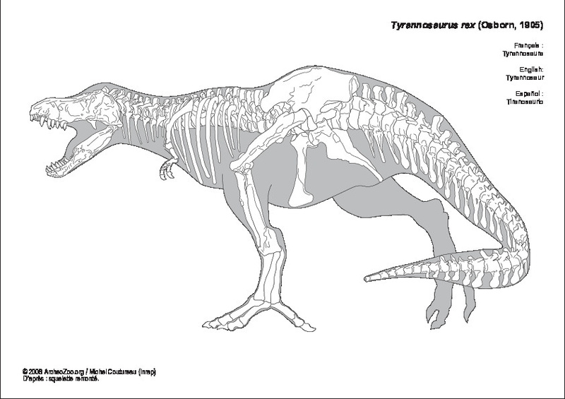 tyrannosaurus_rex.pdf