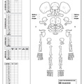 homo_conservation_perinatal.pdf