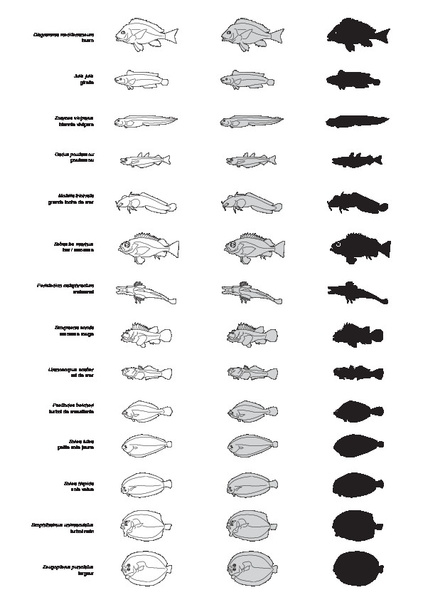 silhouettes_poissons_01.pdf