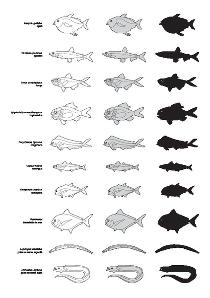 silhouettes_poissons_03.pdf