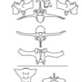 Vertèbres lombaires et sacrum