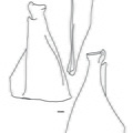 Bouquetin_scapula.pdf
