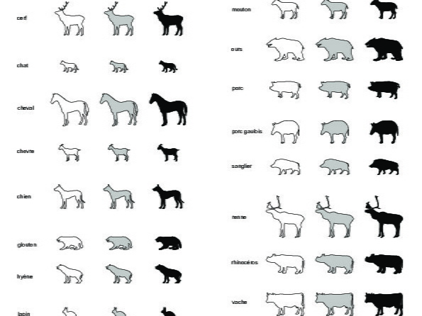 Terrestrial mammals (1)