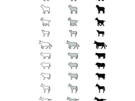 Terrestrial mammals (2)