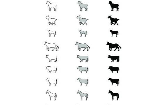 Terrestrial mammals (2)