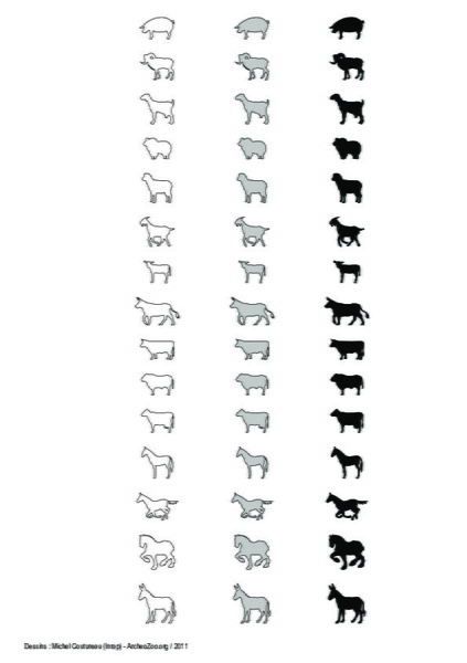 Mammifères terrestres (2)
