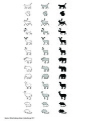 Mammifères terrestres (3)