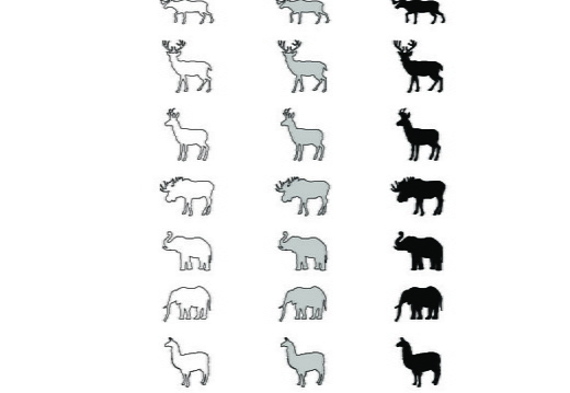 Terrestrial mammals (3)