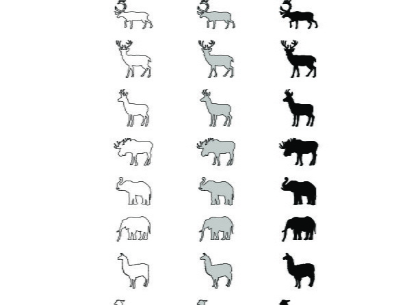 Terrestrial mammals (3)