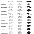 silhouettes_poissons_01.pdf