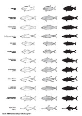 Poissons (2)