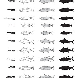 Poissons