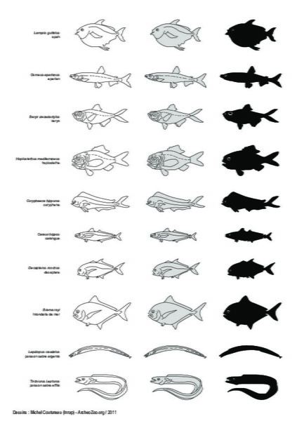 Poissons (3)