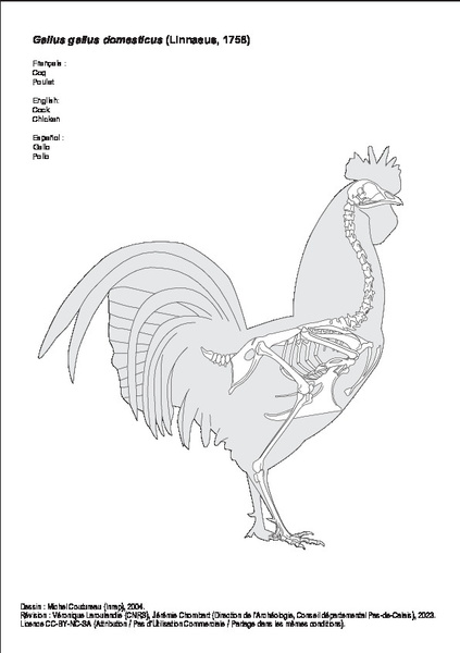 Coq