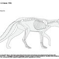 Vulpes_vulpes_2023.pdf