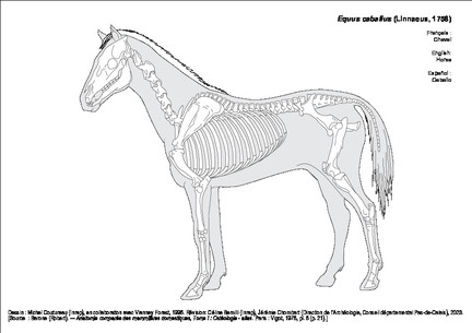 Cheval