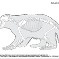 Gulo_gulo_2023.pdf