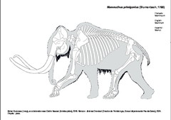 Mamut