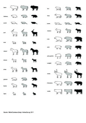 Mammifères terrestres (1)