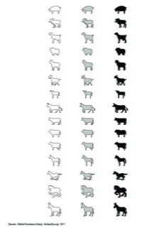 Mammifères terrestres (2)