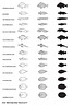 Poissons (1)